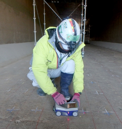 Professional Infrastructure Inspector